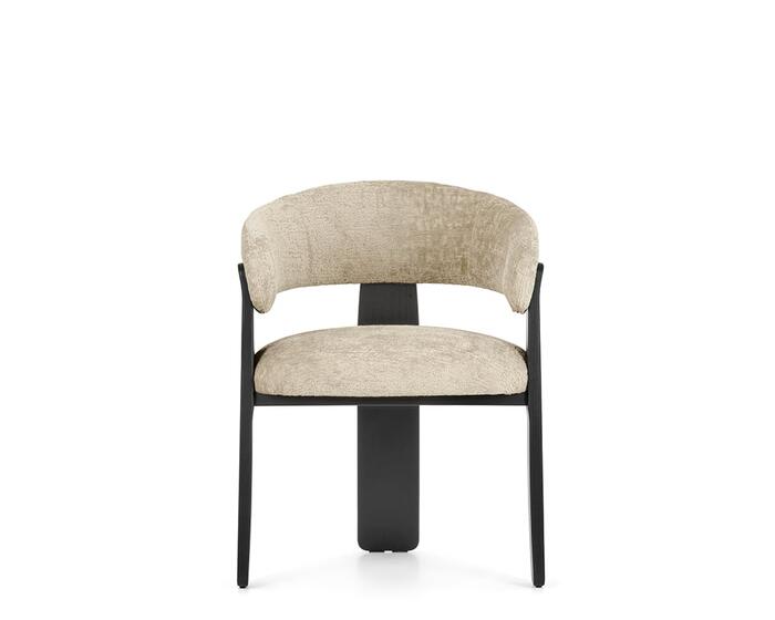 Option Anthea (cat. number CS2271)